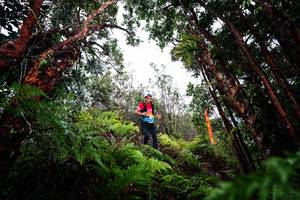 BIB: 
                            <button type="button" onclick="openModal(26203003)" class="btn btn-primary btn-sm float-right btn-popup" data-toggle="modal" data-target=".modal-high-quality">
                        <i class="fas fa-shopping-cart"></i> Add to Cart
                    </button>
                                            <button type="button" onclick="isThisMe(26203003, true)" class="btn btn-success btn-sm float-right btn-popup btn-isme hidden" data-toggle="tooltip" data-placement="bottom" title="นี่คือรูปของคุณใช่ไหม คลิกที่นี่เพื่อเอาเข้าอัลบั้ม">
                        <i class="fas fa-plus"></i> Add to album
                    </button>
                    <button type="button" onclick="isThisMe(26203003, false)" class="btn btn-warning btn-sm float-right btn-popup btn-isnotme hidden">
                        <i class="fas fa-ban"></i> Remove from album
                    </button>